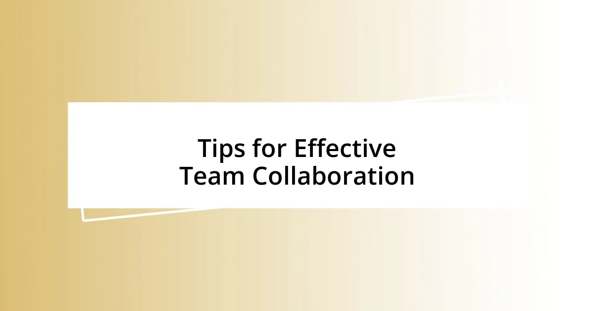 Tips for Effective Team Collaboration