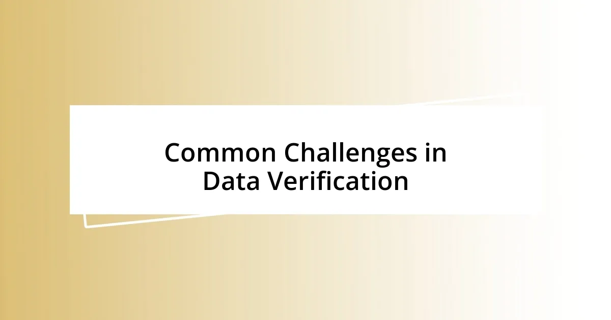 Common Challenges in Data Verification